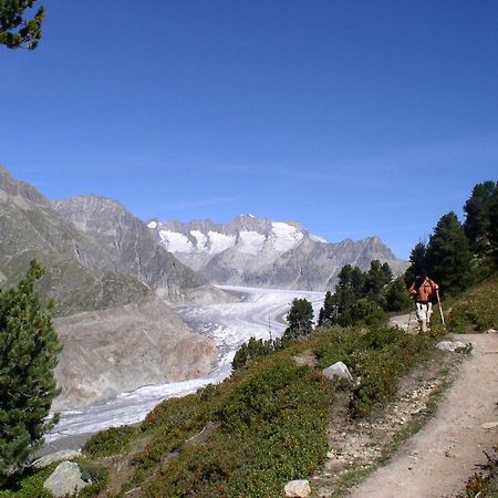 Appartamento Mischabelblick Fiesch Esterno foto